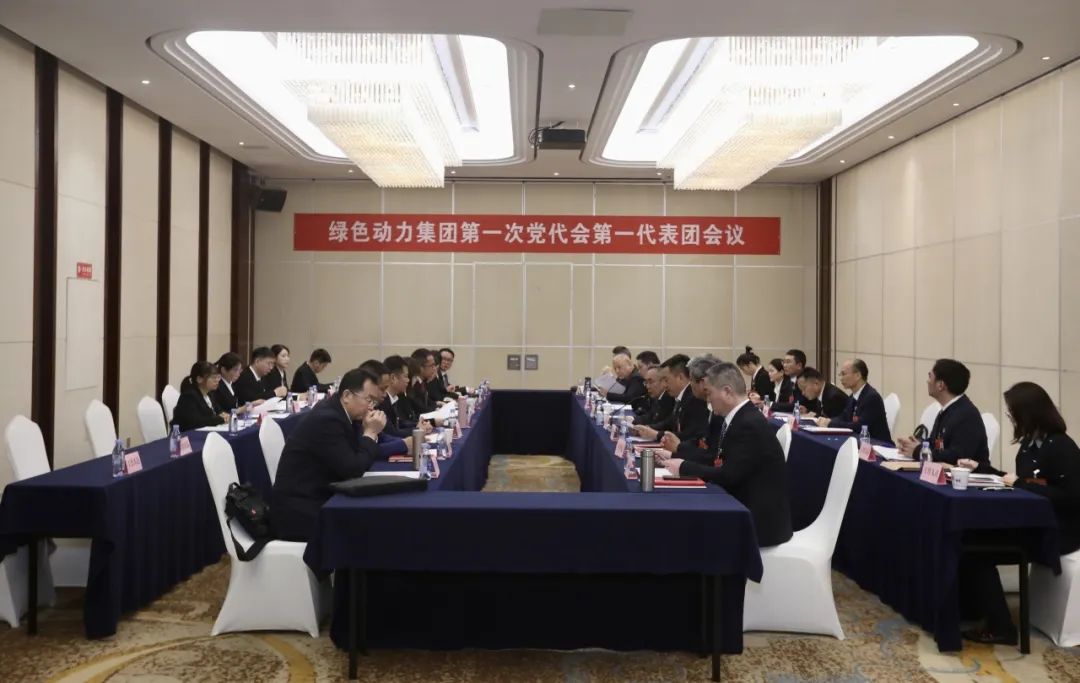 铭刻使命再出发，，，，，代表热议“两委”报告