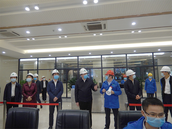 广西壮族自治区人大常委会副主任张秀隆视察人生就是博博白项目